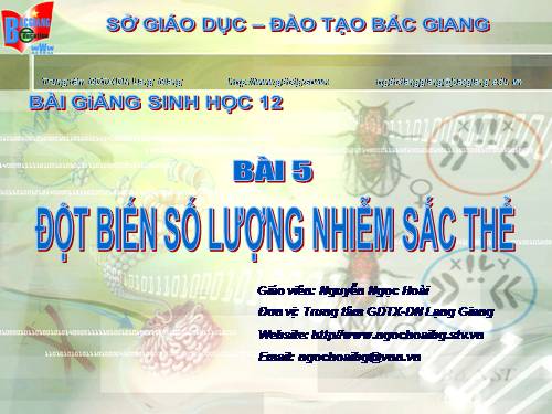 Bài 6. Đột biến số lượng nhiễm sắc thể