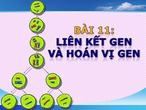 Bài 11. Liên kết gen và hoán vị gen