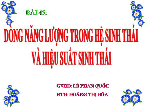 Bài 45. Dòng năng lượng trong hệ sinh thái và hiệu suất sinh thái