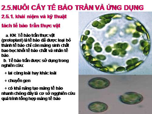 nuôi cấy tế bào trần và ứng dụng