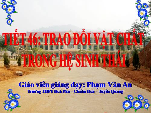 Bài 43. Trao đổi vật chất trong hệ sinh thái