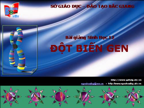 Bài 4. Đột biến gen