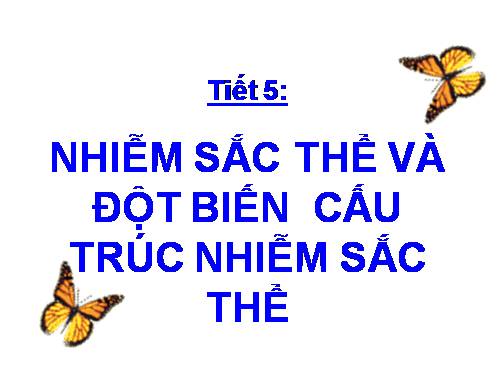 Bài 5. Nhiễm sắc thể và đột biến cấu trúc nhiễm sắc thể