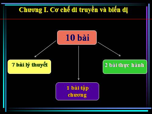 Bài 1. Gen, mã di truyền và quá trình nhân đôi ADN