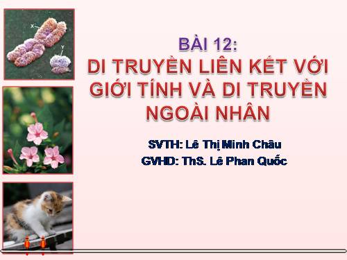 Bài 12. Di truyền liên kết với giới tính và di truyền ngoài nhân