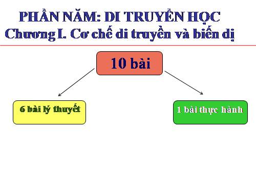 Bài 1. Gen, mã di truyền và quá trình nhân đôi ADN