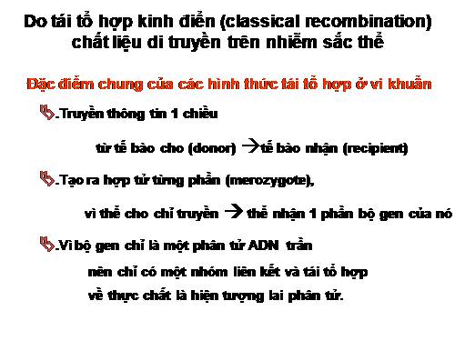 di truyền vi khuẩn