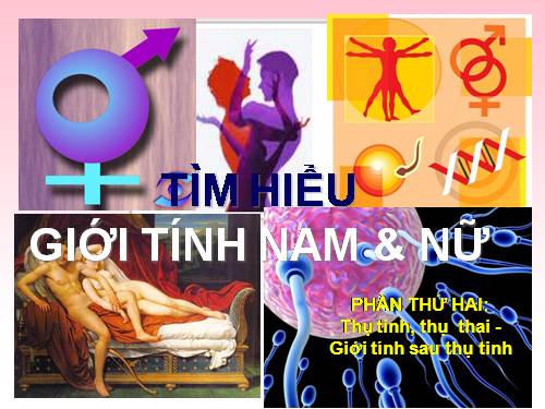 Tìm hiểu giới tính nam nữ phần 2