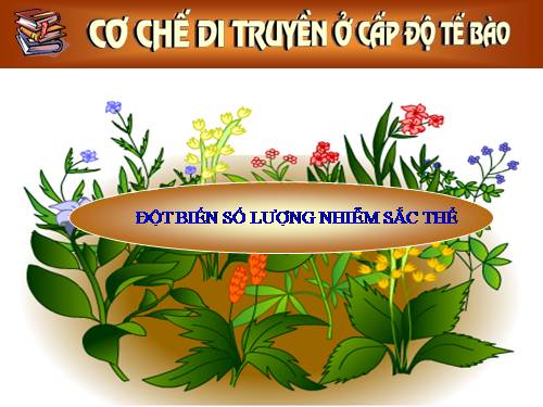 Bài 6. Đột biến số lượng nhiễm sắc thể