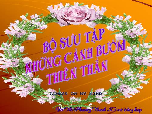 THIÊN NHIÊN SẮC MÀU CỦA LOÀI BƯỚM