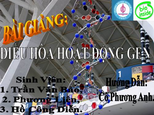 Bài 3. Điều hoà hoạt động gen