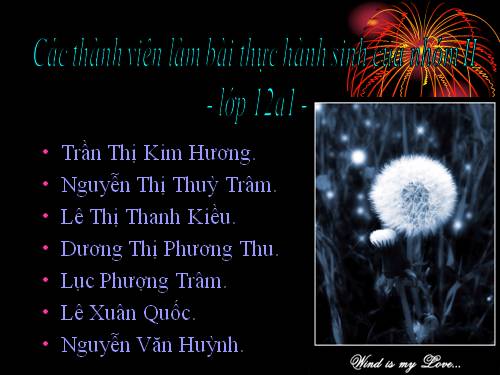 THỰC HÀNH-2008-2009-12A1-NHÓM 2