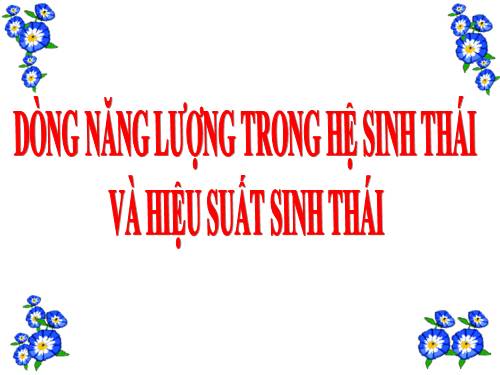 Bài 45. Dòng năng lượng trong hệ sinh thái và hiệu suất sinh thái