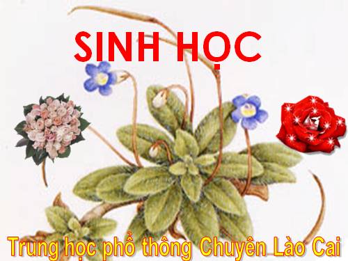 Bài 33. Sự phát triển của sinh giới qua các đại địa chất