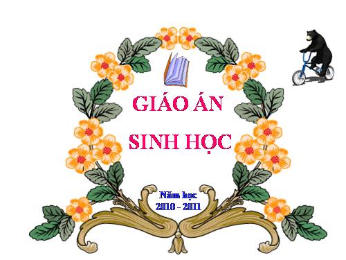 Bài 31. Tiến hoá lớn