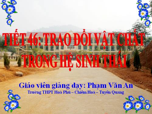 Bài 43. Trao đổi vật chất trong hệ sinh thái