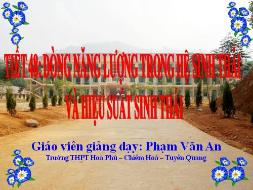 Bài 45. Dòng năng lượng trong hệ sinh thái và hiệu suất sinh thái