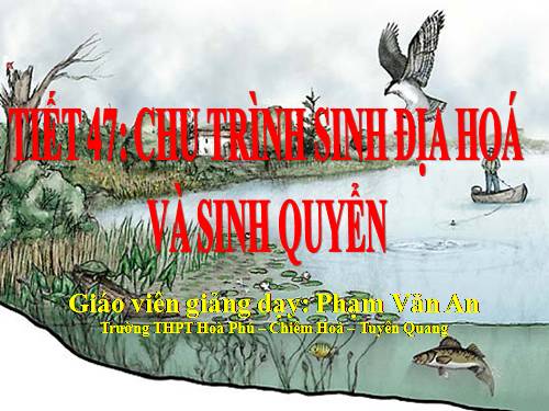 Bài 44. Chu trình sinh địa hóa và sinh quyển