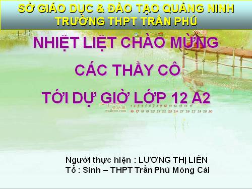 Bài 42. Hệ sinh thái