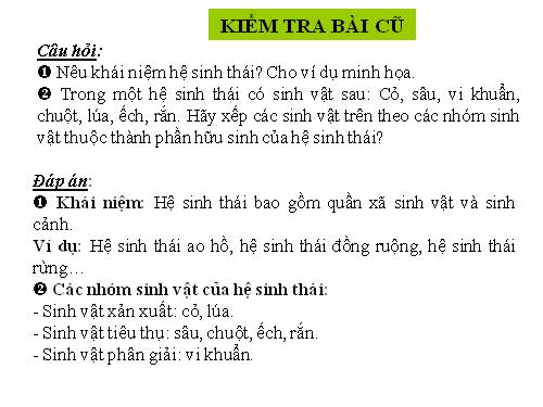 Bài 43. Trao đổi vật chất trong hệ sinh thái