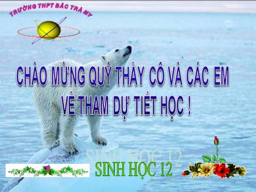 Bài 36. Quần thể sinh vật và mối quan hệ giữa các cá thể trong quần thể