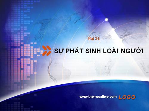 Bài 34. Sự phát sinh loài người