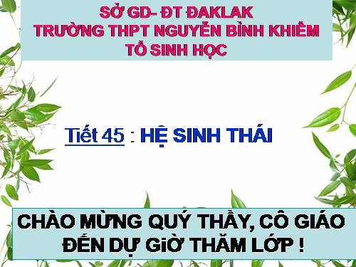 Bài 42. Hệ sinh thái