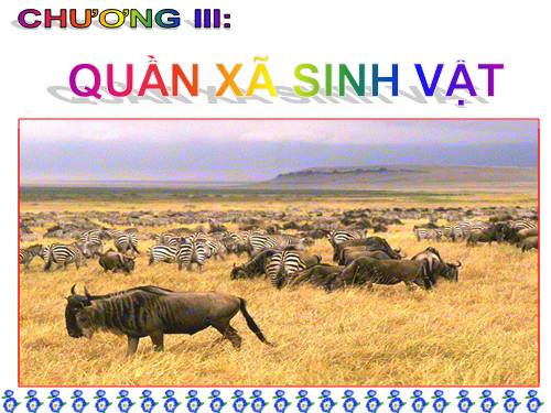 Bài 40. Quần xã sinh vật và một số đặc trưng cơ bản của quần xã