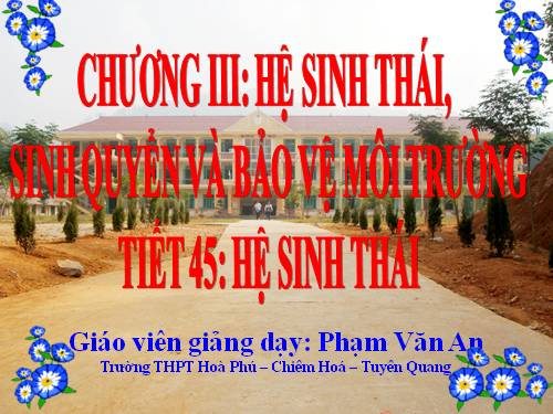 Bài 42. Hệ sinh thái