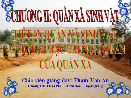 Bài 40. Quần xã sinh vật và một số đặc trưng cơ bản của quần xã