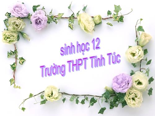 Bài 43. Trao đổi vật chất trong hệ sinh thái