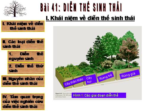 Bài 41. Diễn thế sinh thái