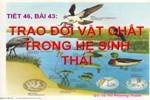 Bài 43. Trao đổi vật chất trong hệ sinh thái