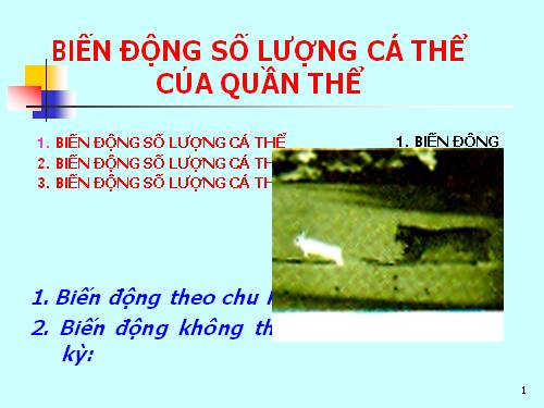 Bài 39. Biến động số lượng cá thể của quần thể sinh vật