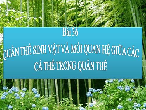 Bài 36. Quần thể sinh vật và mối quan hệ giữa các cá thể trong quần thể