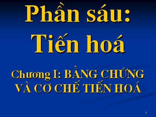 Bài 24. Các bằng chứng tiến hoá