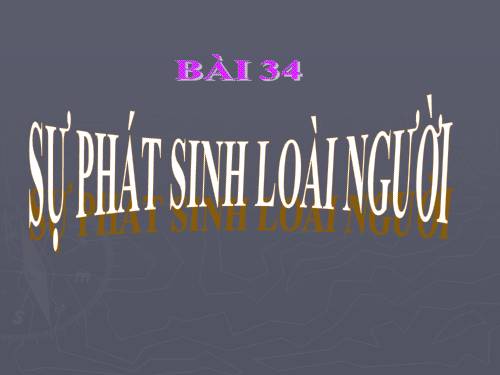 Bài 34. Sự phát sinh loài người