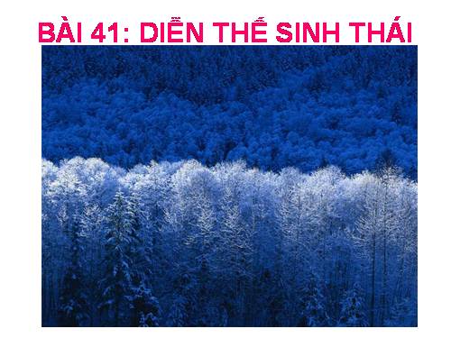 Bài 41. Diễn thế sinh thái