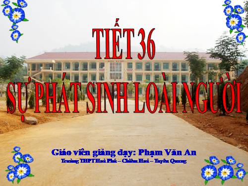 Bài 34. Sự phát sinh loài người