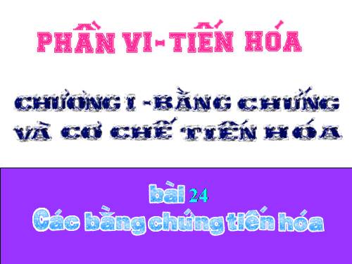 Bài 24. Các bằng chứng tiến hoá