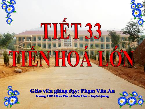 Bài 31. Tiến hoá lớn