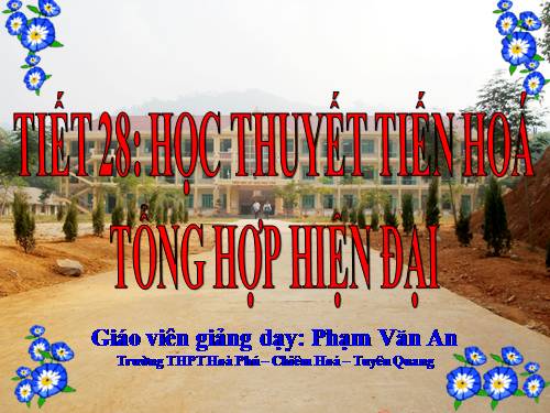 Bài 26. Học thuyết tiến hoá tổng hợp hiện đại