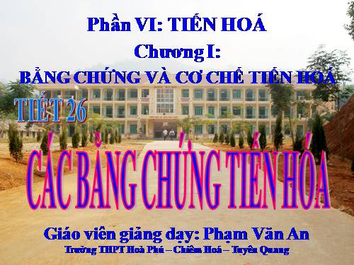 Bài 24. Các bằng chứng tiến hoá