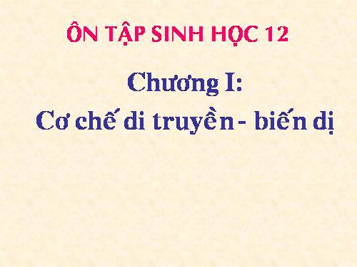 trac nghiem chuong I - CT chuan