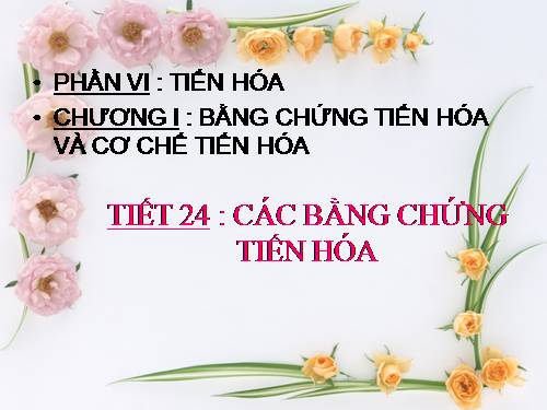 Bài 24. Các bằng chứng tiến hoá