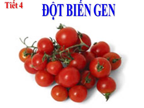 Bài 4. Đột biến gen