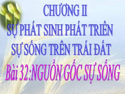 Bài 32. Nguồn gốc sự sống