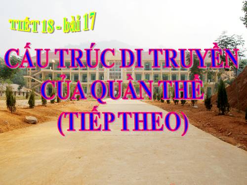 Bài 17. Cấu trúc di truyền của quần thể (tiếp theo)