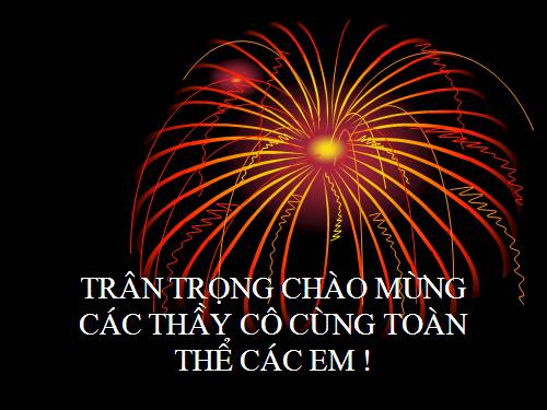 Bài 15 : Cấu tạo trong của thân non