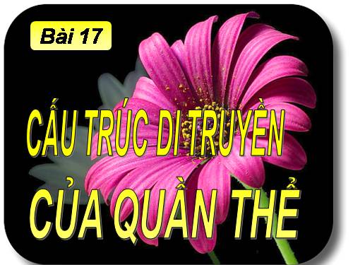 Bài 17. Cấu trúc di truyền của quần thể (tiếp theo)